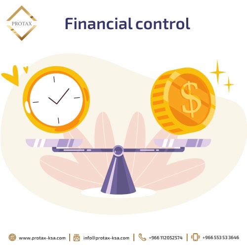 Importance of financial control